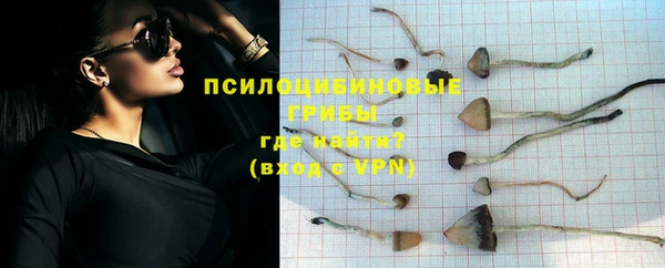 мяу мяу мука Алексеевка