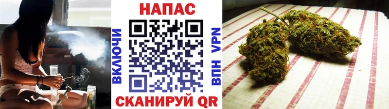 Бошки Шишки планчик Данков